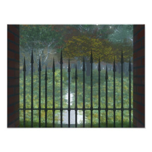 In de Oude Bosfoto Foto Afdruk