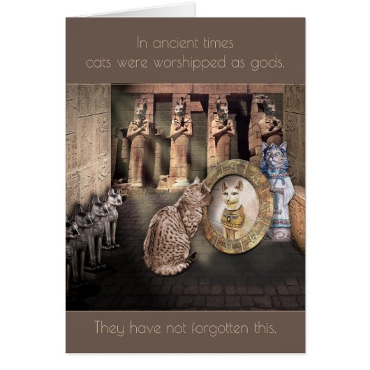 In de Oude Times werden katten geworteld als goden (Voorkant)