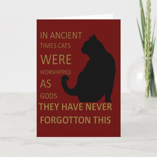 In de Oudheid werden katten aanbeden als goden v2 Kaart (Voorkant)