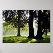 IN DE PARK POSTER (Voorkant)