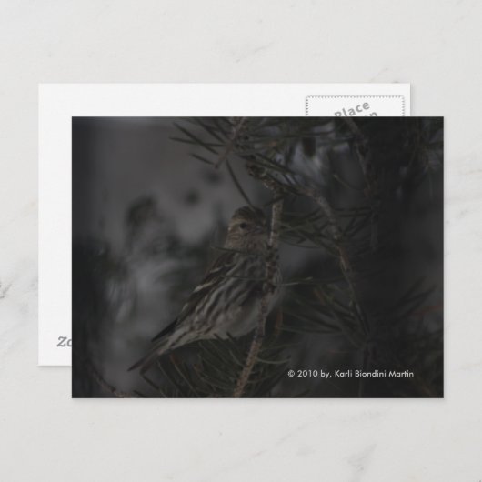 In de pine briefkaart (Voorkant / Achterkant)