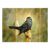 In de Poster van de Grenswaarde Druk (Voorkant)