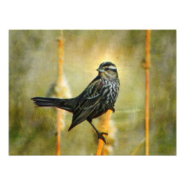 In de Poster van de Grenswaarde Druk