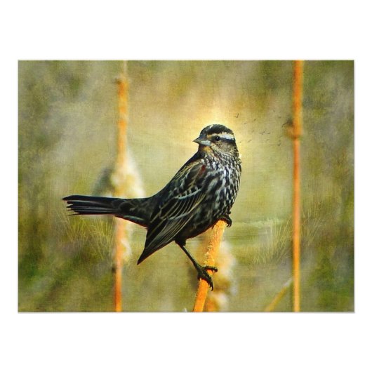 In de Poster van de Grenswaarde Druk (Voorkant)