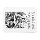 In de regel volg ik het Reglement niet Magneet (Horizontaal)