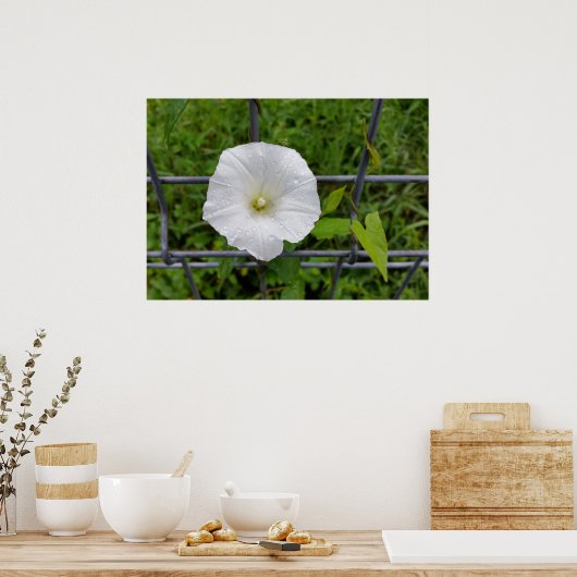 in de regen poster (Keuken)