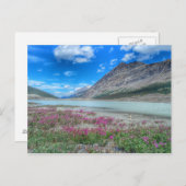 In de Rocky Mountains of banff Briefkaart (Voorkant / Achterkant)