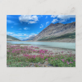 In de Rocky Mountains of banff Briefkaart