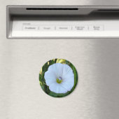 in de schaduw magneet (Insitu (Vaatwasser))