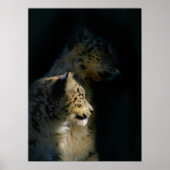 In de schaduw poster (Voorkant)