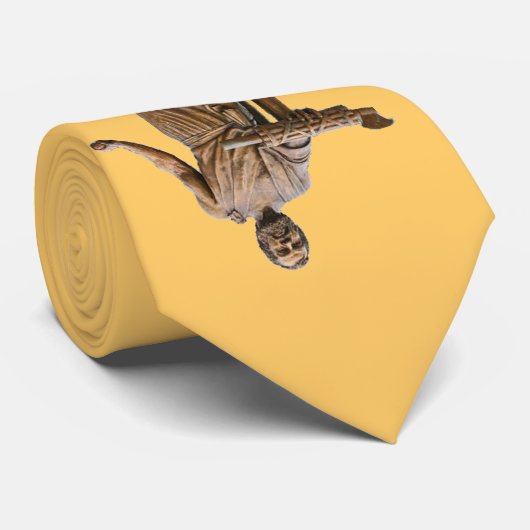 In de schaduw van Cincinnatus Stropdas (Opgerold)