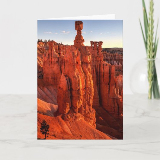 In de Schaduw van Reuzen Kaart (Voorkant)