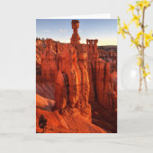 In de Schaduw van Reuzen Kaart (Gele Bloem)