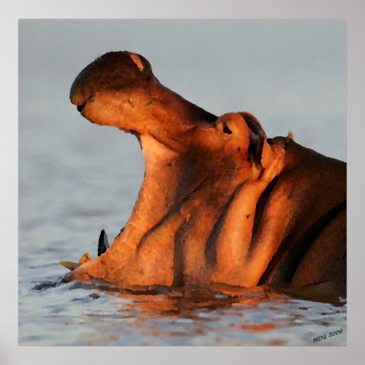 In de schemering Hippopotamus Portrait Poster (Voorkant)