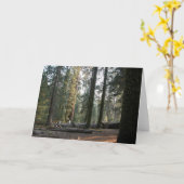 In de Siërra Neveda Kaart (Gele Bloem)