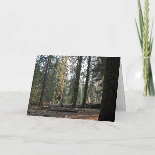 In de Siërra Neveda Kaart (Voorkant)