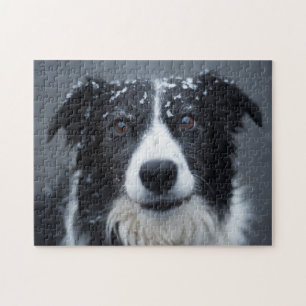 In de sneeuwhond legpuzzel