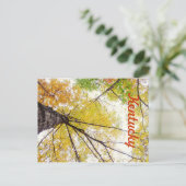 In de Trees door JerseyFawn Briefkaart (Staand voorkant)