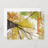 In de Trees door JerseyFawn Briefkaart (Voorkant / Achterkant)