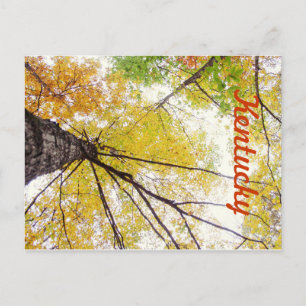 In de Trees door JerseyFawn Briefkaart