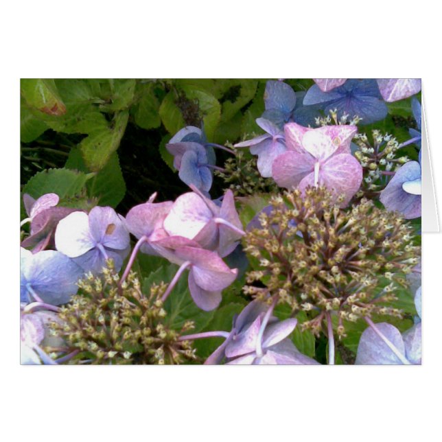 In de tuin (Voorkant Horizontaal)