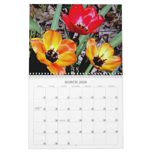 In de tuin 2021 kalender (Mar 2026)