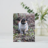 In de tuin - Briefkaart (Staand voorkant)