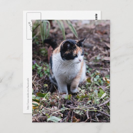 In de tuin - Briefkaart (Voorkant / Achterkant)