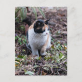 In de tuin - Briefkaart (Voorkant)