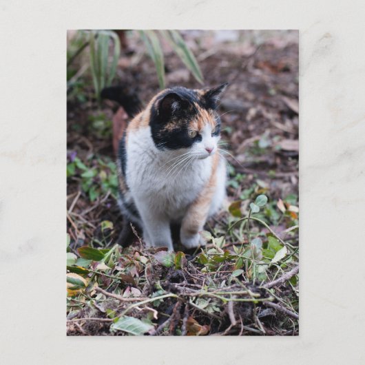 In de tuin - Briefkaart (Voorkant)