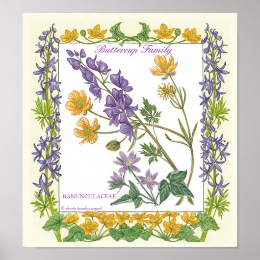 In de tuin ~ Buttercup Poster (Voorkant)