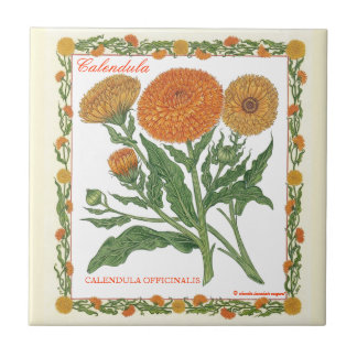 In de tuin ~ Calendula Tile Tegeltje