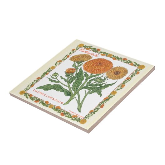 In de tuin ~ Calendula Tile Tegeltje (Zijkant)