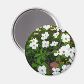 In de tuin ~ Dogwood Blossom Magneet (Voorkant / Achterkant)