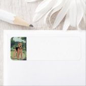 In de tuin etiket (Insitu)