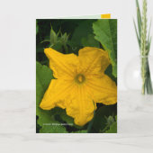 In de tuin kaart (Voorkant)