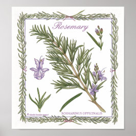In de tuin ~ Rosemary Poster