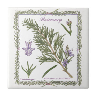 In de tuin ~ Rosemary Tile Tegeltje