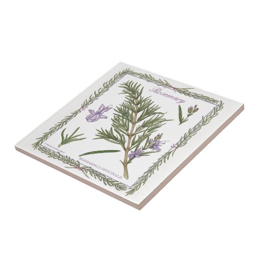 In de tuin ~ Rosemary Tile Tegeltje (Zijkant)