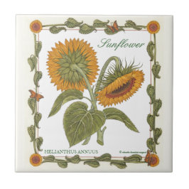 In de tuin ~ Sunflower Tile Tegeltje