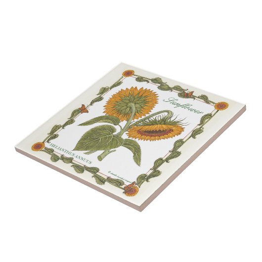 In de tuin ~ Sunflower Tile Tegeltje (Zijkant)