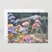 In de Tuin van de Lente Briefkaart (Voorkant / Achterkant)