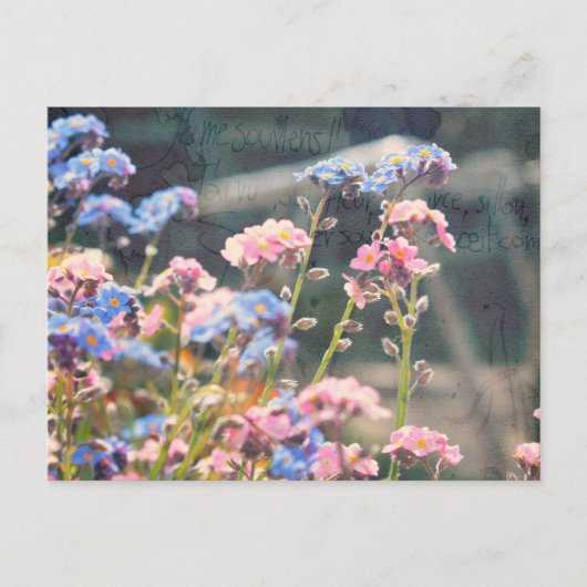 In de Tuin van de Lente Briefkaart (Voorkant)