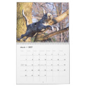 in de tuin van mijn zus 2010 kalender (Mar 2027)