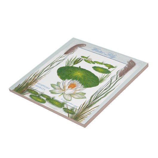 In de tuin ~ Water Lily Tile Tegeltje (Zijkant)