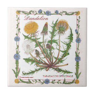 In de tuinen ~ Dandelion Tile Tegeltje