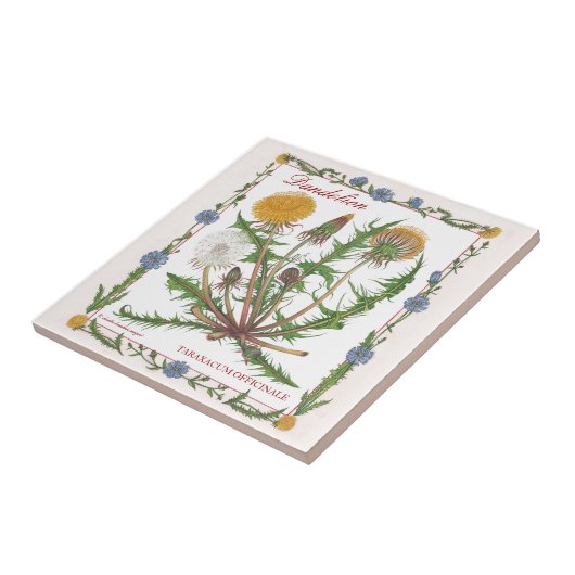 In de tuinen ~ Dandelion Tile Tegeltje (Zijkant)