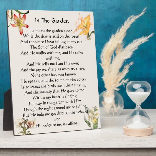 In de tuinschildpad fotoplaat (Zijkant)