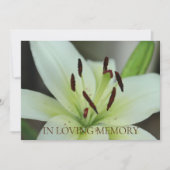 In de uitnodiging van de Loving Memory Memorial Se (Voorkant)