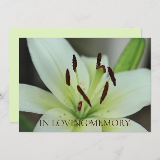 In de uitnodiging van de Loving Memory Memorial Se (Voorkant / Achterkant)